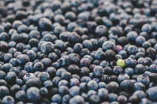 饱满蓝莓特写水果图片图案