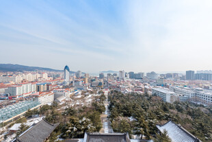 城市全景风光俯瞰图