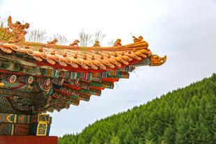 中式飞檐与葱郁山林
