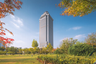秋日城市中的摩天大楼景观