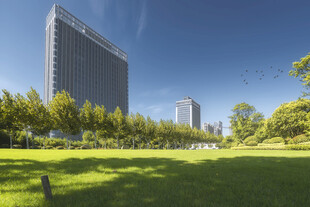 城市绿地旁的高楼景观
