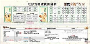 宠物价目表模板
