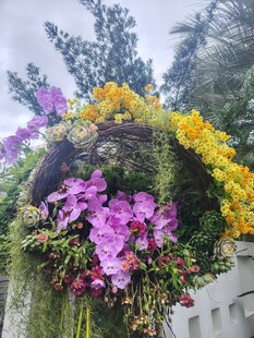 多彩兰花装饰景观
