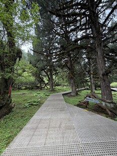 林间步道