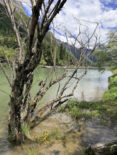 四姑娘山