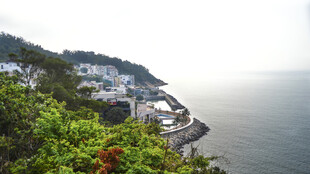 海岸风光中的绿植与建筑