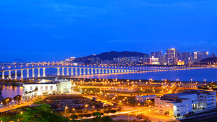 城市跨海大桥夜景风光