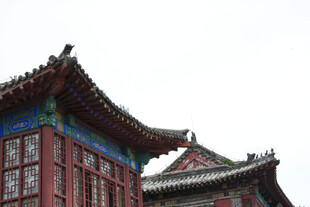 中式古建筑屋顶一角