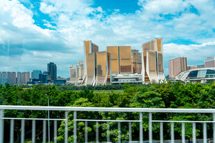 城市高楼与绿植景观