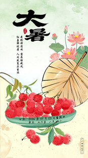 中国风二十四节气大暑创意海报