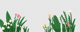 清新花草插画
