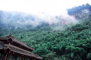 山间古建隐于葱郁林海