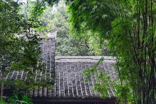 林间古建隐于绿意之间