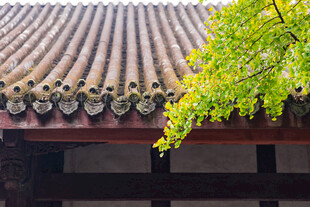 中式古建瓦顶与绿植