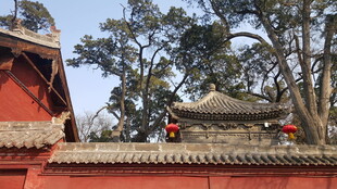 中式古建筑屋顶景观