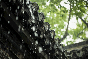 雨中古瓦