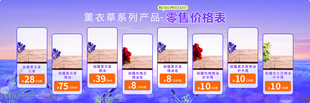薰衣草 