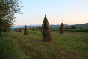 田野中的锥形草垛景观
