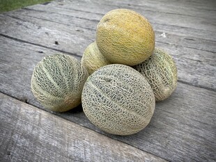 木桌上堆叠的新鲜甜瓜