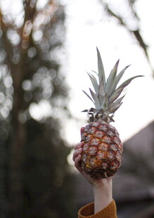 手举鲜菠萝