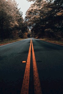 林间公路光影交织之路