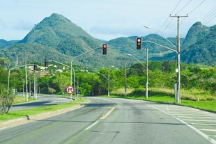公路旁青山绿树风景美