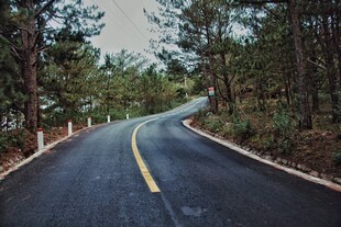 林间蜿蜒公路美景