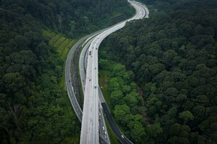 蜿蜒公路穿行茂密森林