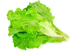 新鲜生菜叶