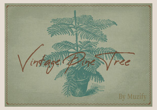 复古松树植物素描画