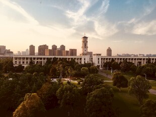 城市天际线与葱郁绿植