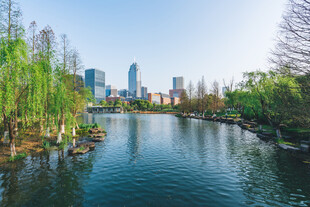 城市河畔美景