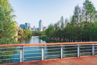 河畔步道与远处城市景观