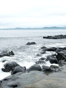 海