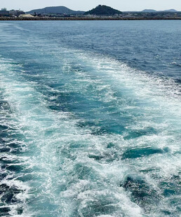 海