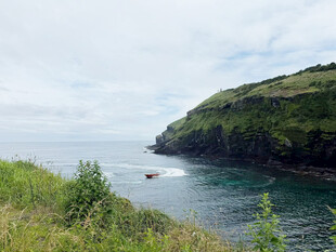 海