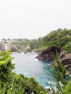 山