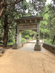泰山