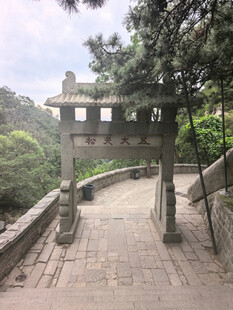 泰山