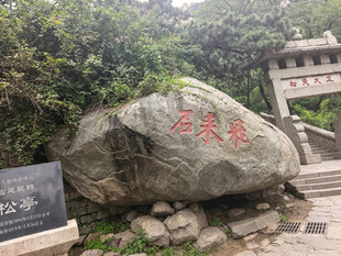 泰山