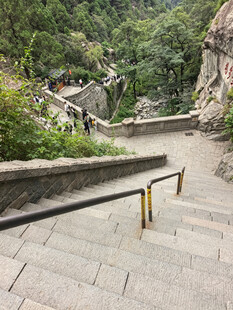 泰山