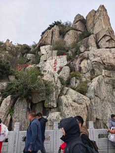泰山