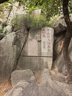 泰山