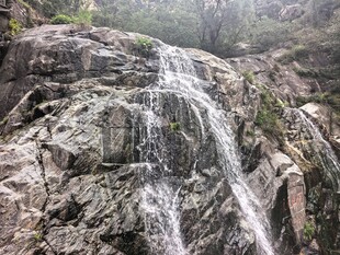 泰山