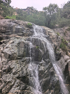 泰山