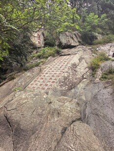 泰山