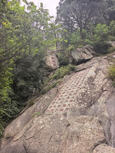 泰山