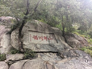 泰山