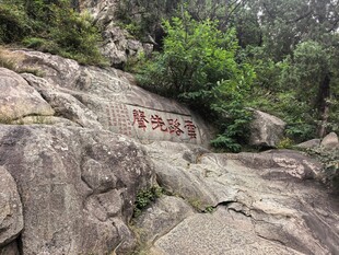 泰山
