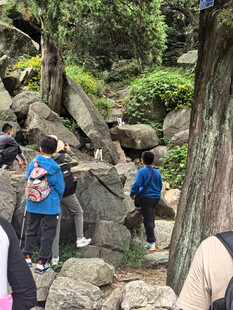 泰山